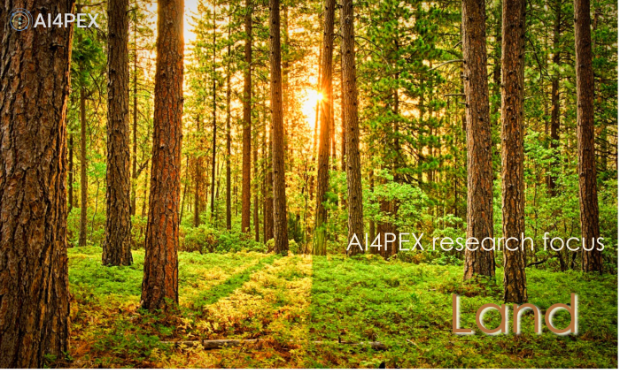 AI4PEX Research Focus